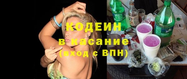 индика Сафоново