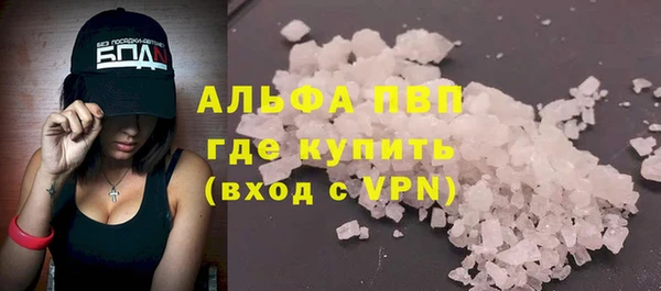 индика Сафоново