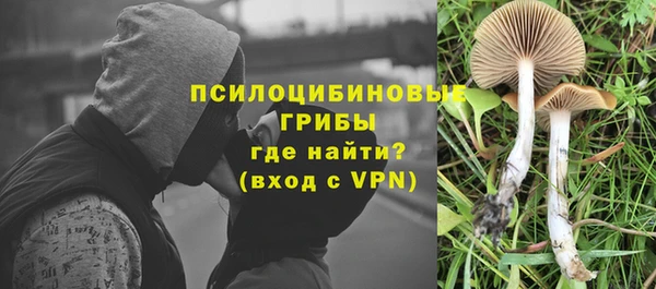 винт Беломорск