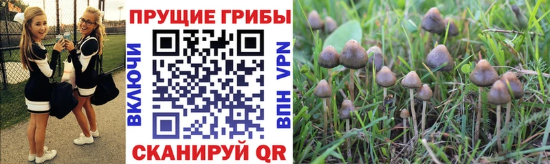 Галлюциногенные грибы ЛСД  Кяхта 